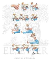 Image result for Hip Exam