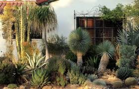 Curb Appeal Cactus A Drive By Garden Visit In La Gardenista Desert Landscaping Desert Landscape Design Garden Visits