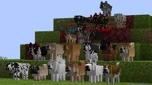 In java edition 1.6.1, texture packs were replaced with resource packs . Better Dogs Resource Pack 1 17 1 16 Texture Packs