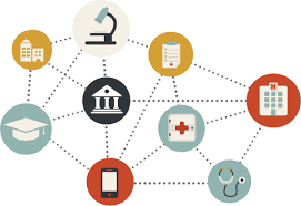 Illness on a personal level by subscribing you agree to the terms of use and privacy policy. Welcoming New Partners To The Health Gorilla Network By Ali Zaman Health Gorilla Medium