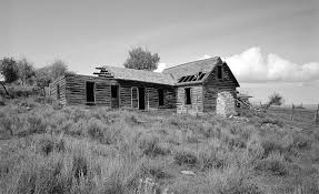 Elinore Pruitt Stewart, Writer and Homesteader