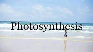This page is made for those who don't know how to pronounce photosynthesis in english. How To Pronounce Photosynthesis Pronunciation Of Photosynthesis Youtube