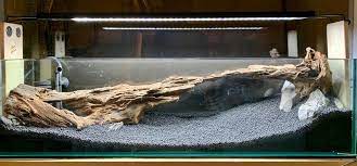 Thanks So Much Everyone For Your Input Here S How My Hardscape Ended Up Of Course I Had To Make It Harder On Mys Biotope Aquarium Aquascape Aquascape Design