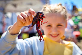 TMS = Home for the weekend ❤️