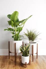 Our plant stand is carefully handcrafted from rich acacia wood to give your indoor plants a sturdy surface to sit on. 51 Mid Century Plant Stands Ideas Plant Stand Modern Planters Plant Decor