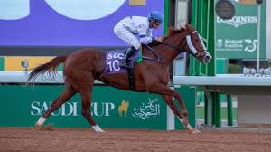 الصاية و الدقلة عنوان الأمسية العالمية لـ كأس السعودية 2021