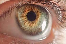Augenentzundung Fremdkorpergefuhl Im Auge Rote Augen