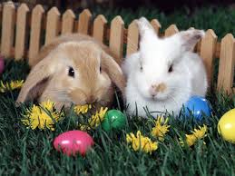 Pin En Easter