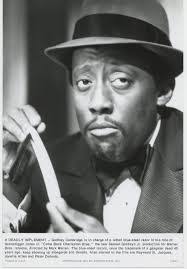 Rosetta Shaw's Instagram, Twitter & Facebook