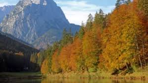 The people that live here are envied by many; Badeseen Naturseen Zugspitz Arena Bayern Tirol