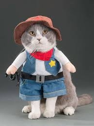 Favorite add to more colors fashion dog cowboy hat dogs cat outdoor hats caps for small medium dogs cats headwear pet. 1pc Cat Funny Cowboy Standing Costume With 1pc Hat Shein Usa