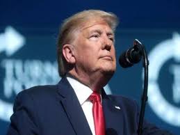 nicolas alba Archives