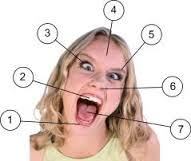 i tuto, kuba Dama sa no-rejo jena, ben to saken Dama Diwan kiwa-jeno. 8  rujo-rama saken Dama-kiwa i bumo-sibo-ma bumo-tiwo-kiwo-