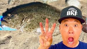 Kim Fish's Instagram, Twitter & Facebook