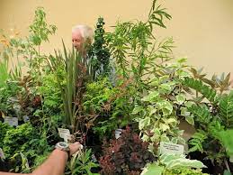 Eric gossler grew up in the gossler family farm and nursery. Gossler Farms Tangly Cottage Gardening Journal