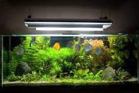 powerful aquarium light for planted tank aquarium beleuchtung kleines aquarium susswasseraquarium
