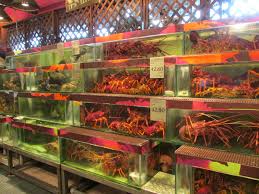 Food unlimited, ground floor, giant hypermarket usj 1, persiaran subang permai, usj, subang jaya, selangor 47500. Pin On Pub Food Presentation