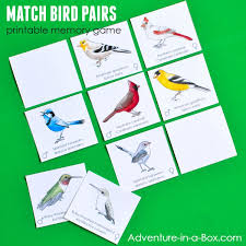 Match Male Female Bird Pairs Printable Memory Game Memory Games Printable Games For Kids Adventure Games For Kids