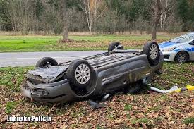 Drużyna wojciecha szczęsnego zdobyła superpuchar włoch. Rzezba Karp Piotr Zielinski Artykuly Gazeta Lubuska