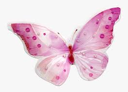1000 x 1000 png 565 кб. Watercolor Butterfly Png Download Pink Butterflies Transparent Png Png Download Kindpng