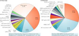 Co Occurring Genomic Alterations In Non Small Cell Lung