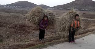 Image result for north korea