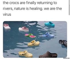 Birds are returning to the skaterparks Nature is healing meme ...