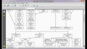 Diabetes melitus tak tergantung insulin (dmtti) penyakitnya mempunyai pola familiar yang kuat. Cara Cerdas Menyusun Woc Web Of Causation Atau Pathway Kmb 1 Satu Nurul Hikmatul Qowi Youtube