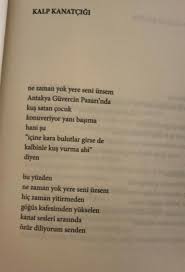 Yaprak Duzgun Adli Kullanicinin Altini Cizdiklerim Panosundaki Pin Yerler