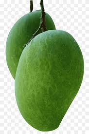 Your daily values may be higher or lower depending on your calorie needs. Mango Png Images Pngwing