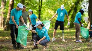 What Environmental Jobs Can I Get Without a College Degree?