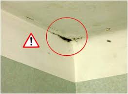 Isolation Des Combles Attention A La Ventilation Eco Logis