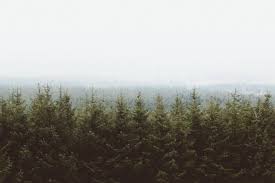 75 Beautiful Minimal Desktop And Laptop Wallpapers For Minimalist Lovers In 2020 Laptop Wallpaper Minimal Wallpaper Laptop Wallpaper Desktop Wallpapers