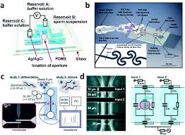 Development And Prospects Of Microfluidic Platforms For