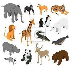 Check spelling or type a new query. Zoo Animals Isometric Set Wandsticker Isoliert Illustration Vektor Myloview De