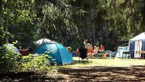 Maybe you would like to learn more about one of these? Fun Fox By The Campfire