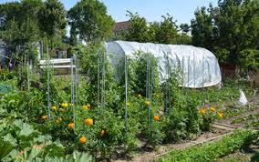 Les Jardins Familiaux Ville De Gennevilliers