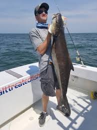 Cobia fishing requires a fighting spirit