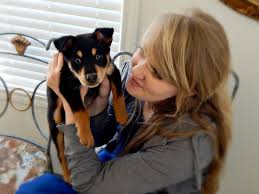 College station medical center is classified as general medical and surgical and parent system is community health systems, inc. All Pets Veterinary Medical Center Home Facebook