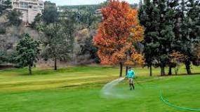 Image result for when do golf courses water the grass