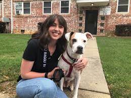 Learn more about wake county animal center in raleigh, nc, and search the available pets they have up for adoption on petfinder. Best Friend Pet Adoption Helping You Find Your New Best Friend