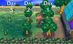 Error Animal Crossing New Leaf Animal Crossing Game