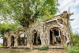 Đình Gò Táo (Đình Tân Đông) ở Mỹ Tho - Tiền Giang - TripHunter