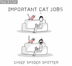 Important Cat Jobs Cats Cats Meow Cat Parenting