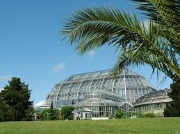 Botanischer Garten Und Botanisches Museum Berlin
