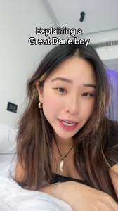 Great Dane Boyfriend Explained