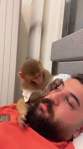 Rating Monkey's Skincare ASMR Session