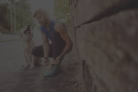 Every one of these biscuits contains a mixture of hemp cannabinoids and terpenes, including but not limited to cbd, but the real draw is that the bacon flavor. Cbd For Dogs What You Need To Know