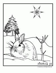 Color a wreath or design a gingerbread house with these online coloring sheets. Winter Animal Coloring Pages Animal Jr Bunny Coloring Pages Animal Coloring Pages Winter Animals