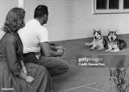 146 Nikki Debbie Stock Photos, High-Res Pictures, and Images